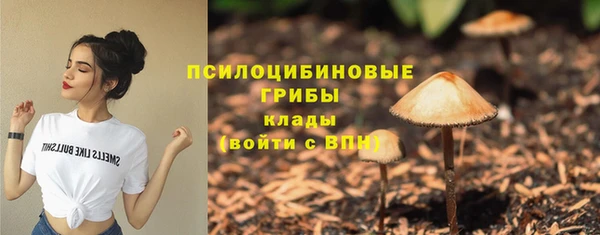 амф Алексеевка