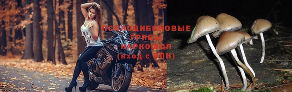 мяу мяу кристалл Алзамай