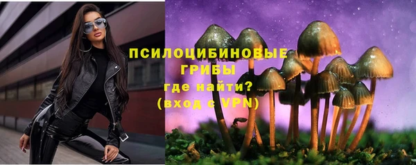 амф Алексеевка