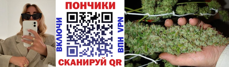 ссылка на мегу вход  купить наркотик  Удачный  Конопля гибрид 